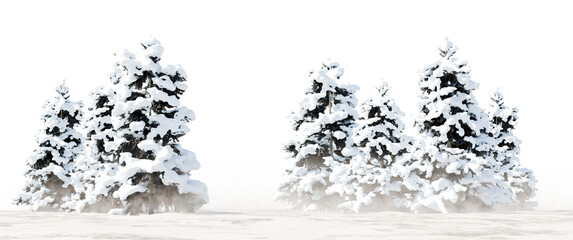 Snow Covered Conifer Trees in Winter Forest PNG Transparent Cutout