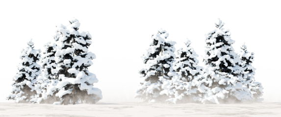 Snow Covered Conifer Trees in Winter Forest PNG Transparent Cutout