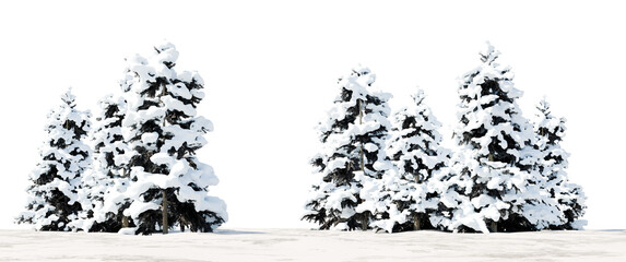 Pine Forest Trees with Snow Isolated PNG Transparent Cutout
