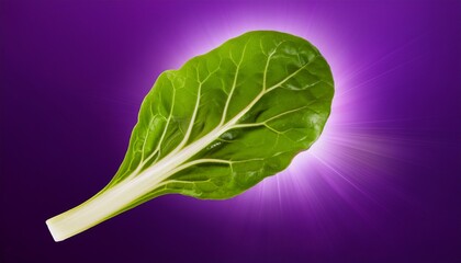 Mangold Or Swiss Chard Leaf Over Violet Background Dynamic Motion Isolated With White Highlights