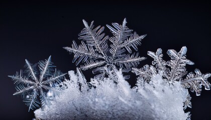 Frostwork Decorative Ice Crystals On Black Matte Background