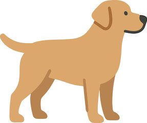 Flat Style Detailed Golden Labrador Retriever Side View Pet Illustration