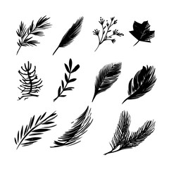 Obraz premium Hand-drawn brush elements, textures, and patterns, along with other graphic elements, can be utilized in various design projects