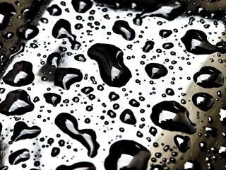 black and white droplets macro