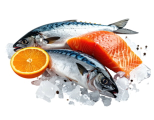 Fresh fish fillets and orange slice atop ice cubes against a black background