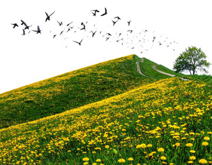 Lush hillside with yellow flowers, path, tree, and a flock of dark shapes