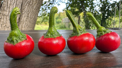 A closeup composition of hot red peppers the size of cherries