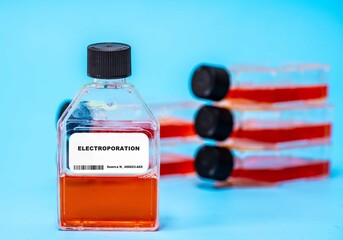 Electroporation Using electric pulses to introduce genetic