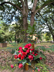 Tombstone in the public cemetery