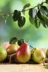 Fresh ripe pears on wooden table and green leaves outdoors, closeup
