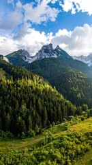 Fototapeta premium Lush Green Mountain Landscape Under Bright Sunlight and Cloudy Blue Sky with Rocky Peaks