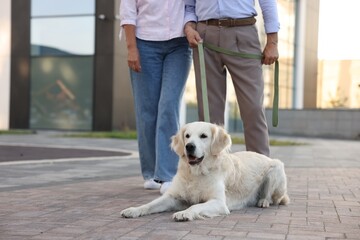 Senior couple with adorable Golden Retriever dog outdoors, closeup