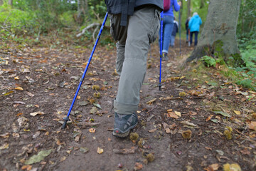 Randonneurs dans le Trégor en Bretagne