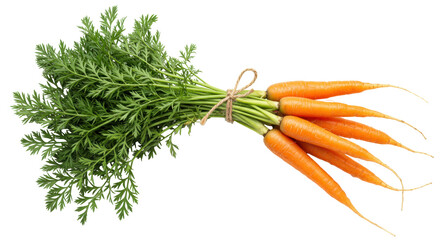 Fresh carrots with green tops isolated on transparent background, vibrant orange root vegetables for healthy eating and cooking
