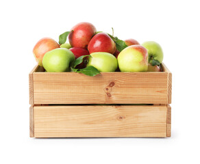 Fresh ripe apples in wooden crate isolated on white
