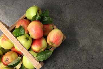 Fresh ripe apples in crate on grey table, top view. Space for text