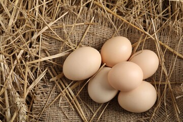 Raw chicken eggs and straw on table, top view