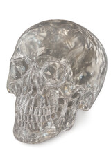 Crystal Skull with Light Refraction