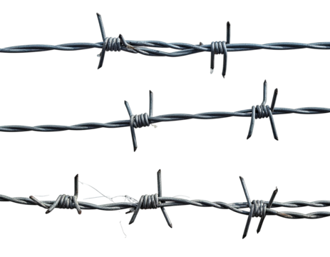 Three parallel strands of sharp, metal wire with barbs against a dark background