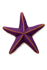 Exotic Starfish in Purple and Gold