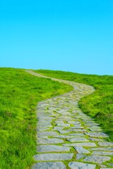 Obraz premium A winding stone pathway curves through a lush green grassy hill under a clear blue sky, symbolizing journey and progress