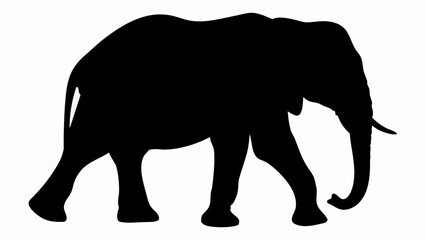 Fototapeta premium Majestic elephant silhouette walking powerfully with a graceful stride, conveying strength and wild beauty