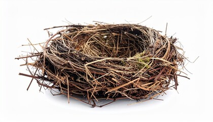Obraz premium bird nest on white background