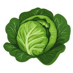 Obraz premium Minimal flat vector of a Cabbage Leaf, 2D icon-style illustration on white background