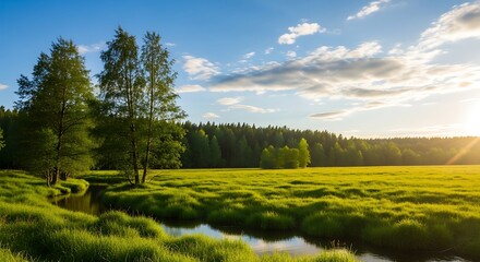 Naklejka premium Serene meadow with a winding stream and lush trees under a cloudy sky
