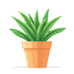 2D flat vector illustration of a Century Plant in icon style, isolated on white background