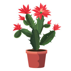 Flat 2D Christmas Cactus illustration, vector graphic in icon style, on white background