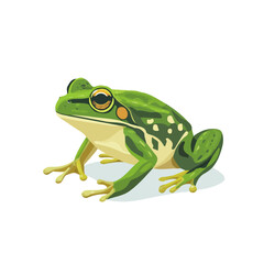 Flat 2D Bullfrog illustration, vector graphic in icon style, on white background