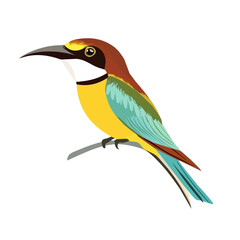 Bee-eater, flat style 2D vector image, isolated on a white background