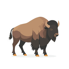 Flat 2D Bison illustration, vector graphic in icon style, on white background