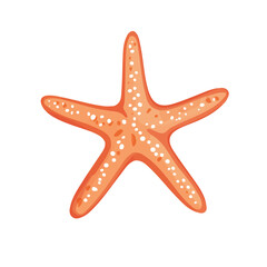 2D flat vector illustration of a Starfish in icon style, isolated on white background