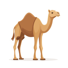 Camel, flat style 2D vector image, isolated on a white background