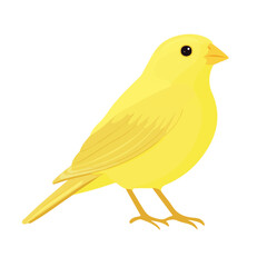 Flat 2D Canary illustration, vector graphic in icon style, on white background