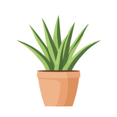 Minimal flat vector of a Century Plant, 2D icon-style illustration on white background