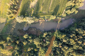 Topdown Aerial of Rural Pond and Trees, Poland – Countryside Water and Vegetation Pattern
