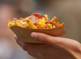 Close-up of a hand holding a paper tray with French fries, pulled meat and melted cheese, photographed at a food festival on Karlin Square in Prague.