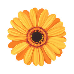 Gerbera Daisy, 2D flat vector illustration, simple and modern style, isolated on a plain white background.