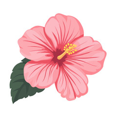 Hibiscus, flat style 2D vector image, isolated on a white background