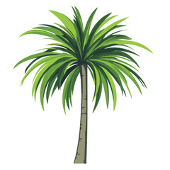 Lady Palm, flat style 2D vector image, isolated on a white background