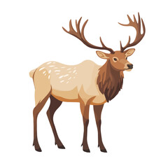 Elk, flat style 2D vector image, isolated on a white background