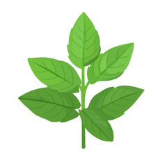 2D flat vector illustration of a Holy Basil in icon style, isolated on white background