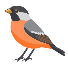 Simple flat 2D vector graphic of Finch, modern icon look, displayed on a pure white background.