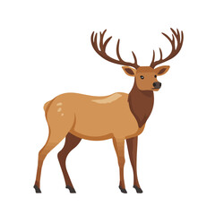 Elk, flat style 2D vector image, isolated on a white background