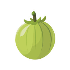 Minimal flat vector of a Indian Gooseberry, 2D icon-style illustration on white background