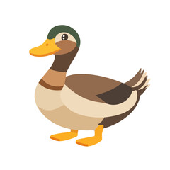 Duck, flat style 2D vector image, isolated on a white background