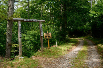 守屋山の登山道